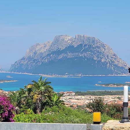 Claude&Kate'S Dream House Villa Porto San Paolo  Bagian luar foto